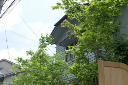 gaikann